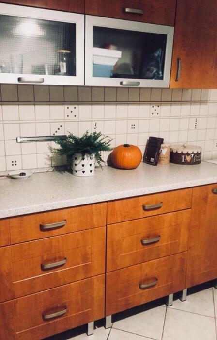 Apartament Swobodna Sosnowiec Eksteriør bilde